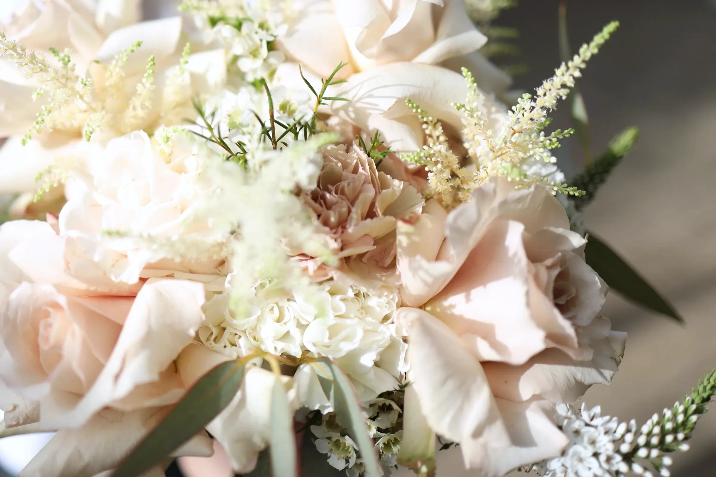 Wedding bouquet close-up: cream and powder roses, carnations, white astilbe and eucalyptus leaves in sunlight