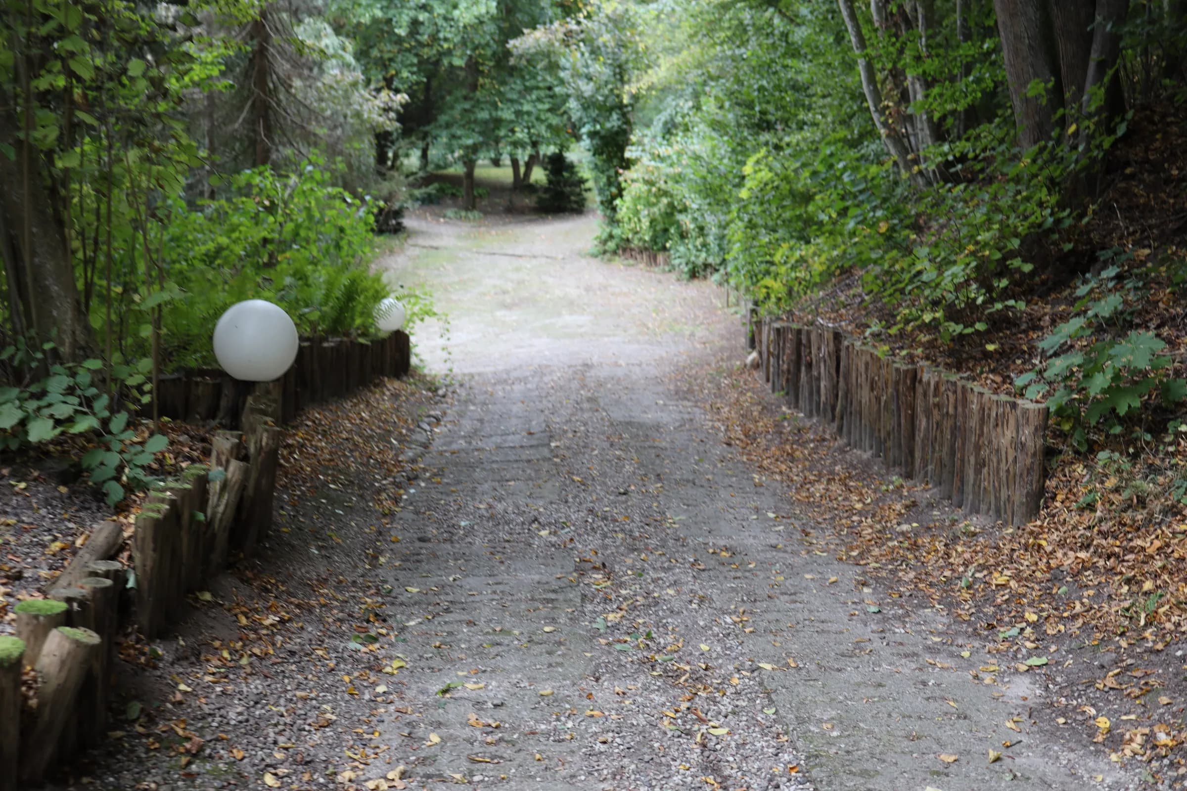 A gravel path among old trees in the mill area, bordered by a wooden palisade, with white lamp globes