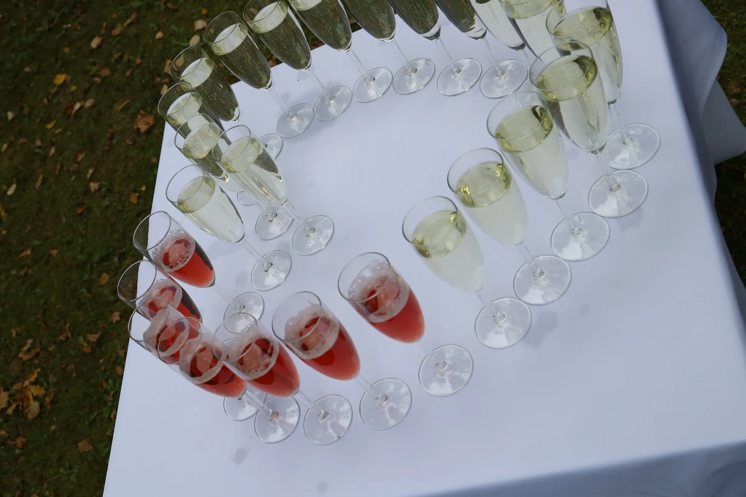 A circle of glasses with champagne and pink wine on a white tablecloth, on a table in the garden among autumn leaves