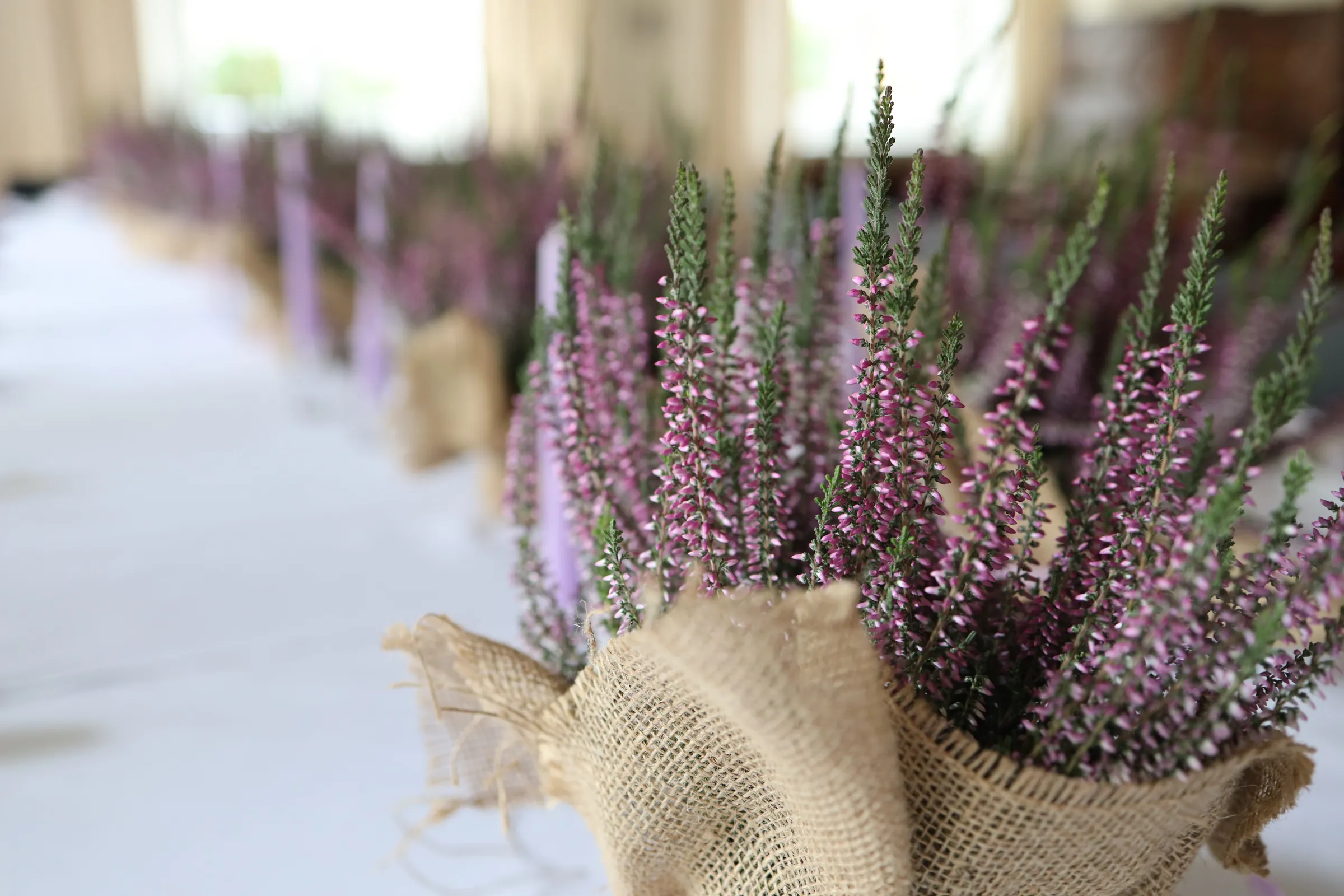 Heather in a jute casing on a white tablecloth, and behind it a blurry row of more heather and lilac candles on a long table