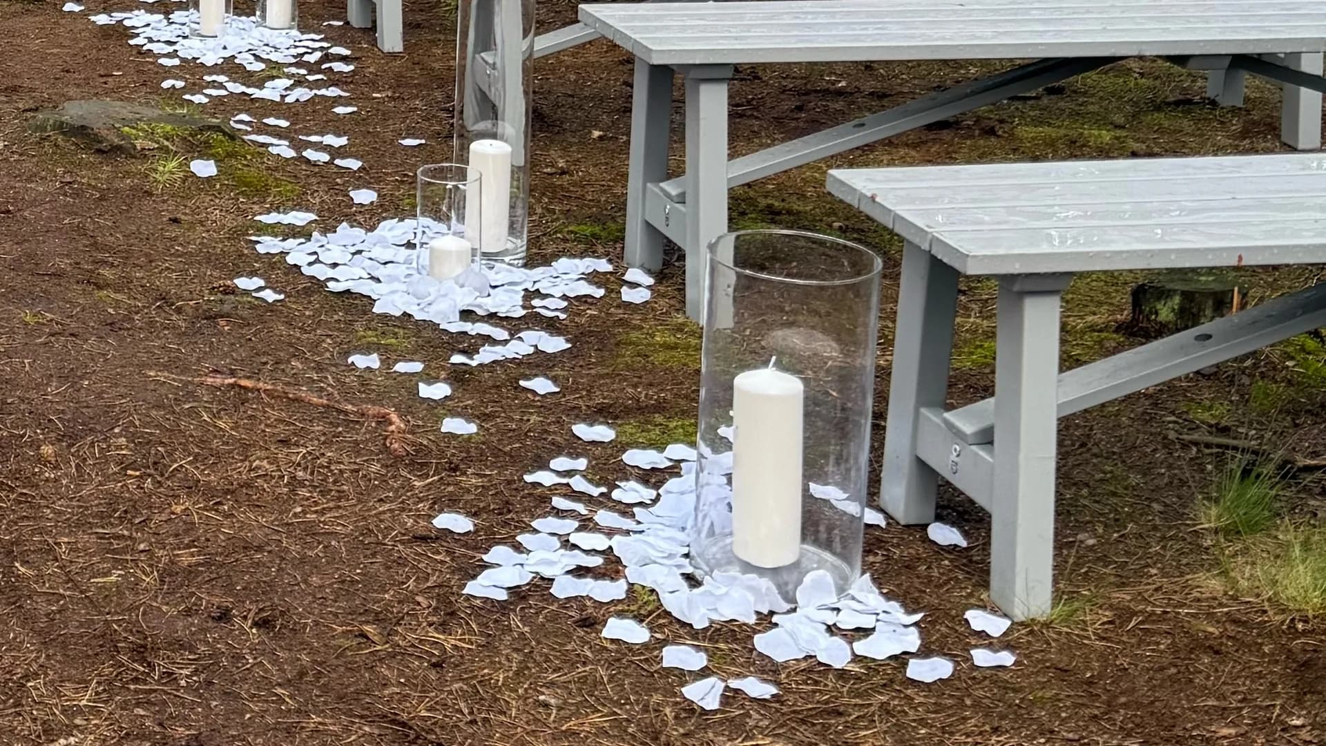 White rose petals and pillar candles in tall glass cylinders along the aisle between gray benches in the forest